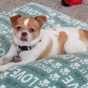 Meet your Posher, Patricia